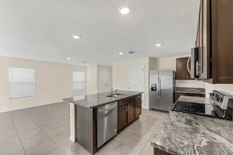 12153 Downy Birch Drive Riverview FL 33569