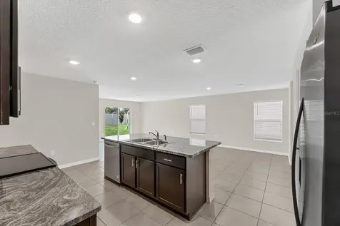 12153 Downy Birch Drive Riverview FL 33569