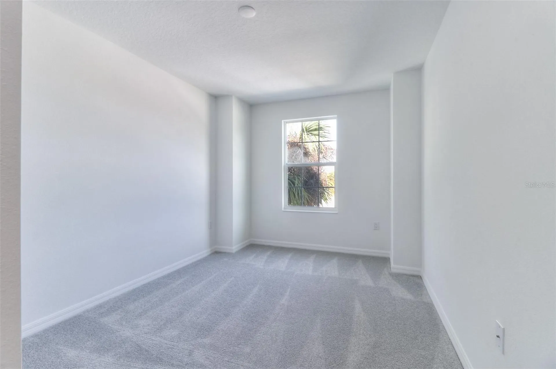 3407 E Louisiana Avenue Tampa FL 33610