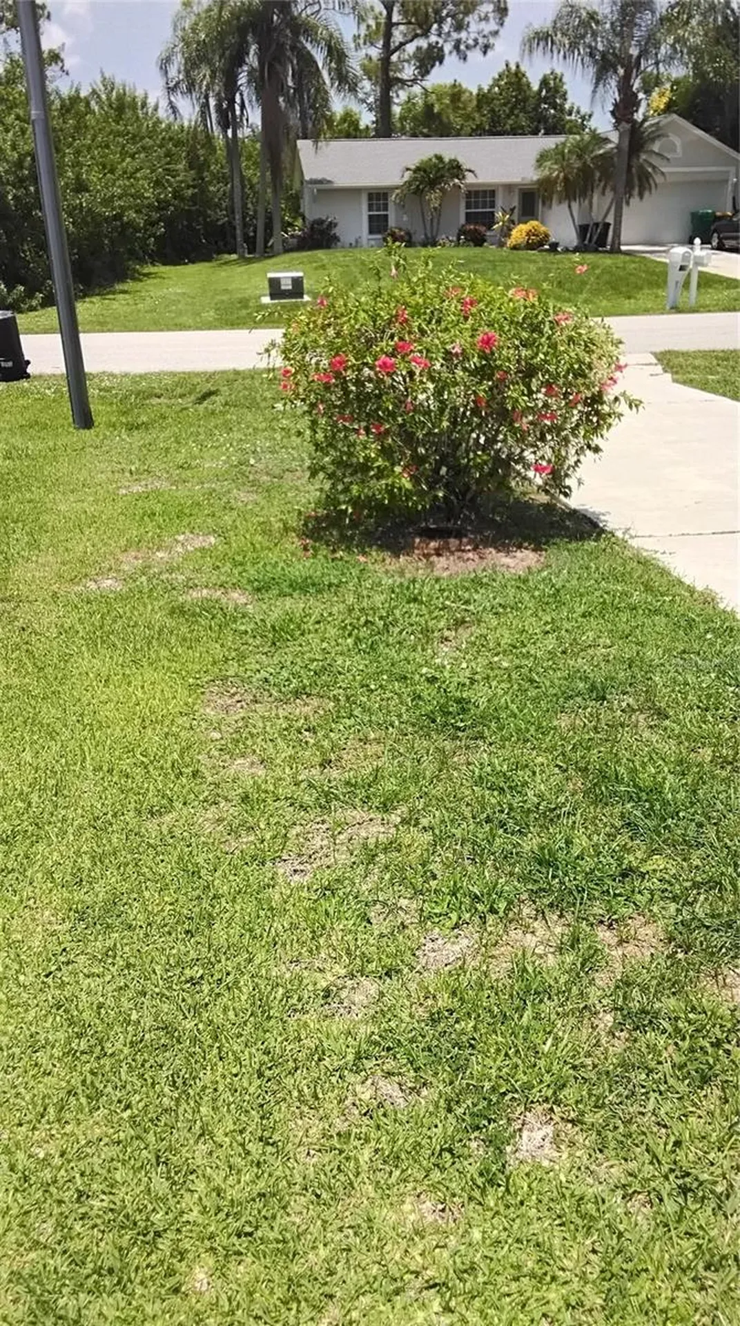 18579 Robinson Avenue Port Charlotte FL 33948