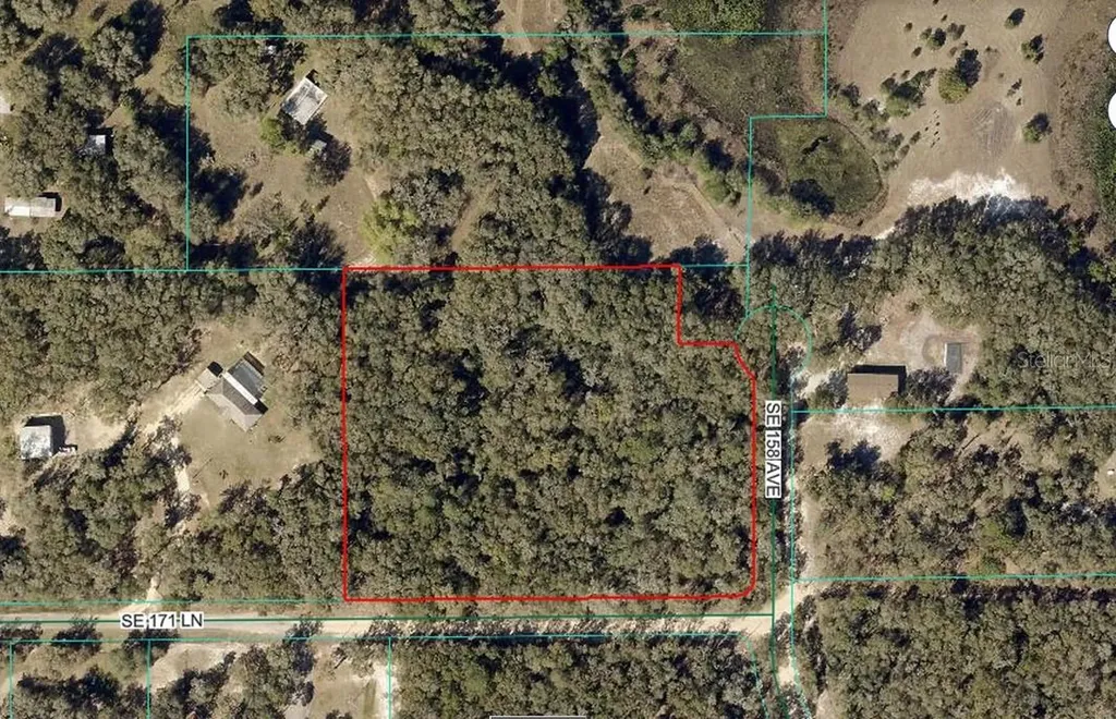 SE 171st Lane Weirsdale FL 32195