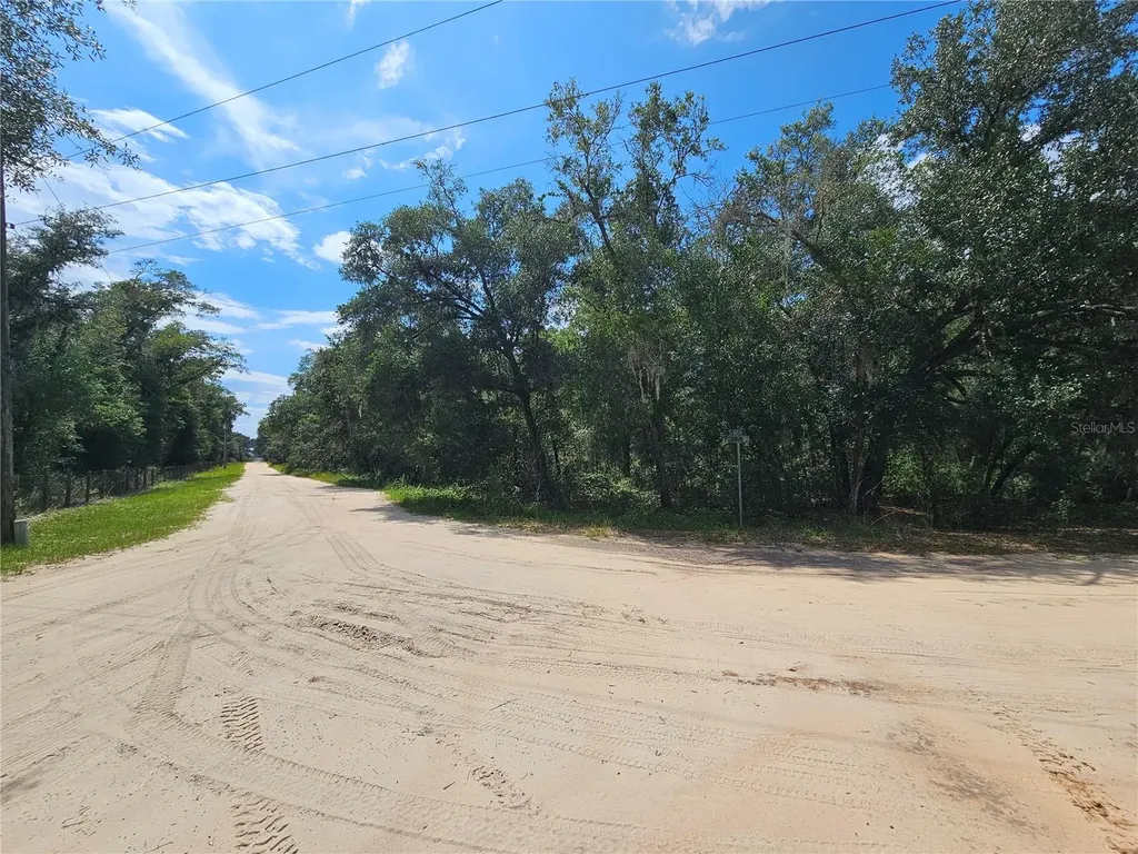 SE 171st Lane Weirsdale FL 32195