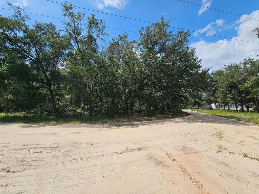 SE 171st Lane Weirsdale FL 32195