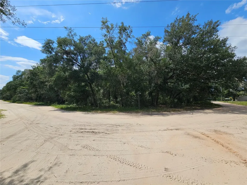 SE 171st Lane Weirsdale FL 32195