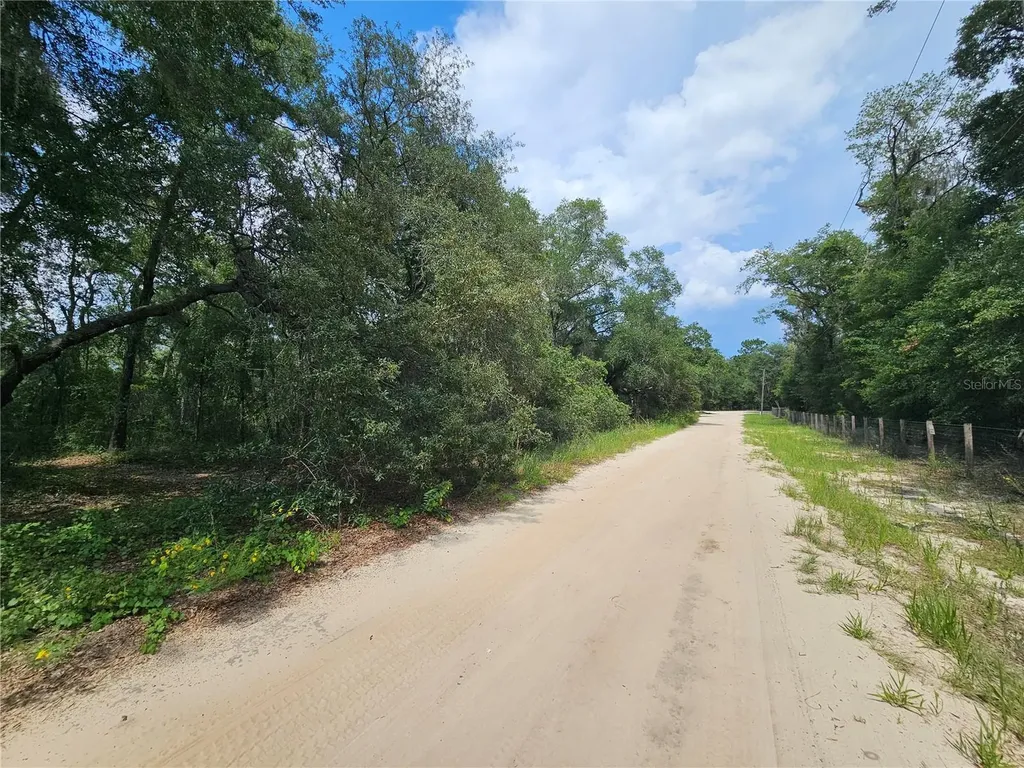 SE 171st Lane Weirsdale FL 32195