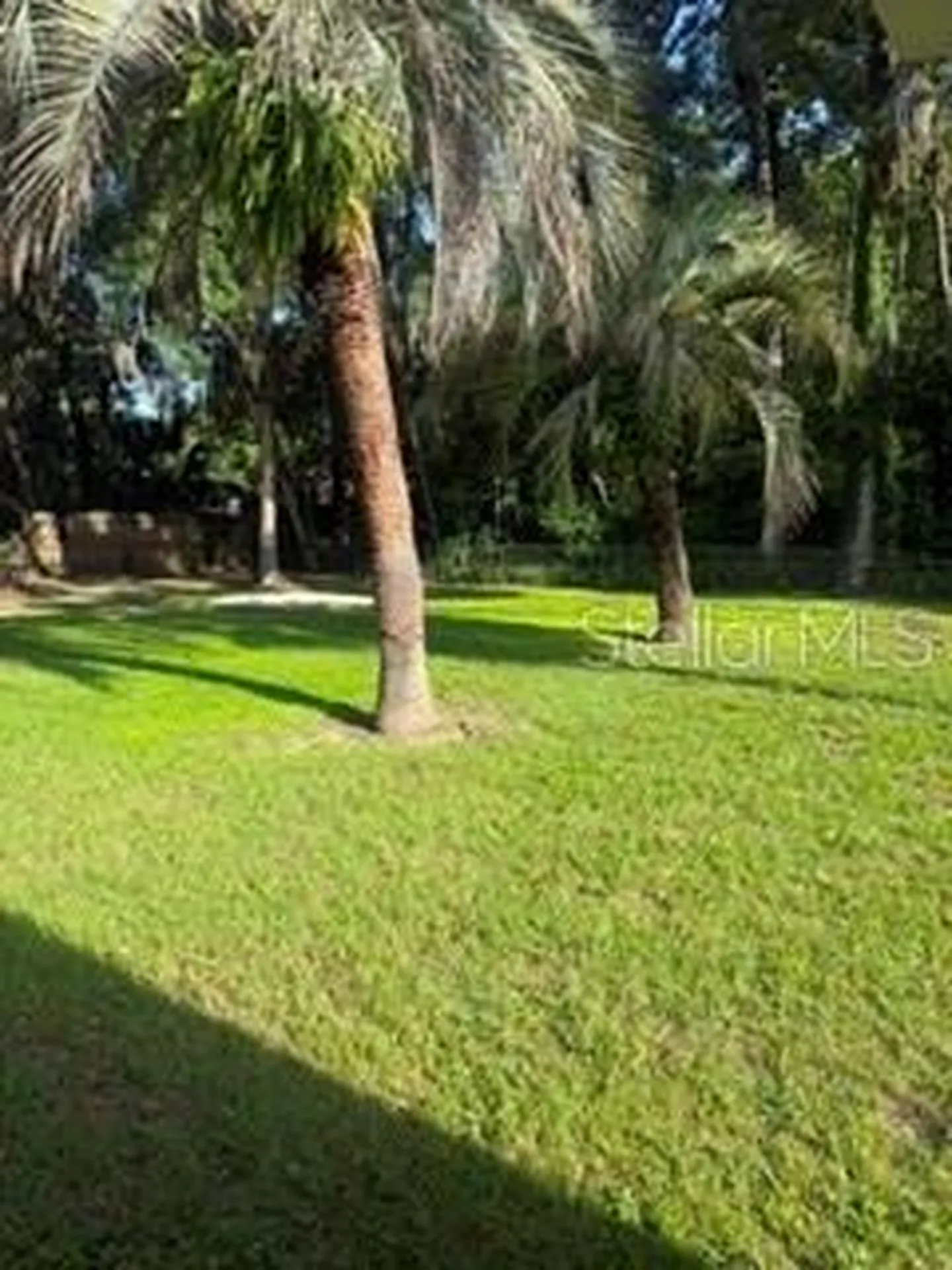 3115 SE 11th Street Ocala FL 34471