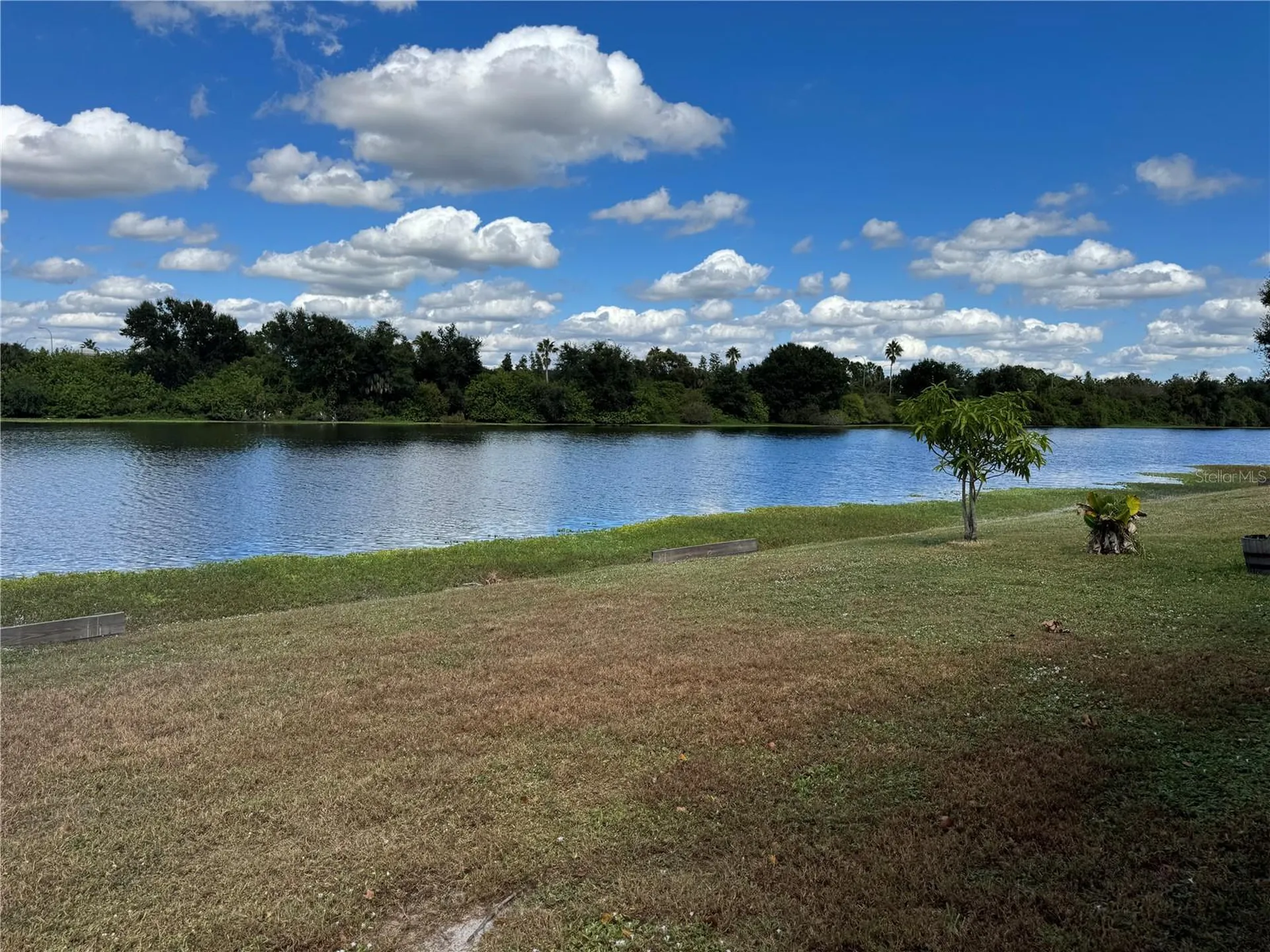 748 Burlwood Street Brandon FL 33511