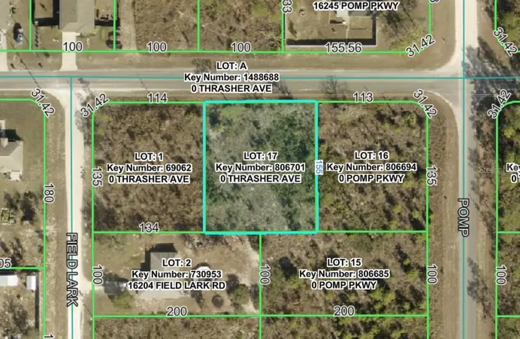 13101 Thrasher Avenue Weeki Wachee FL 34614