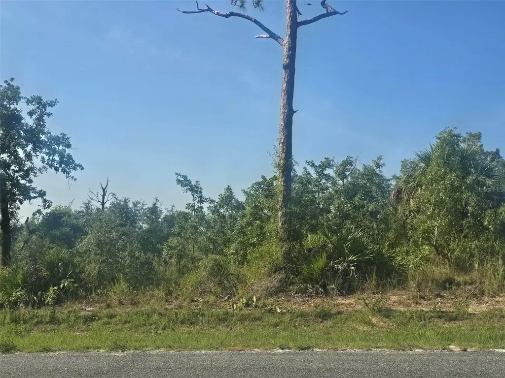 13101 Thrasher Avenue Weeki Wachee FL 34614