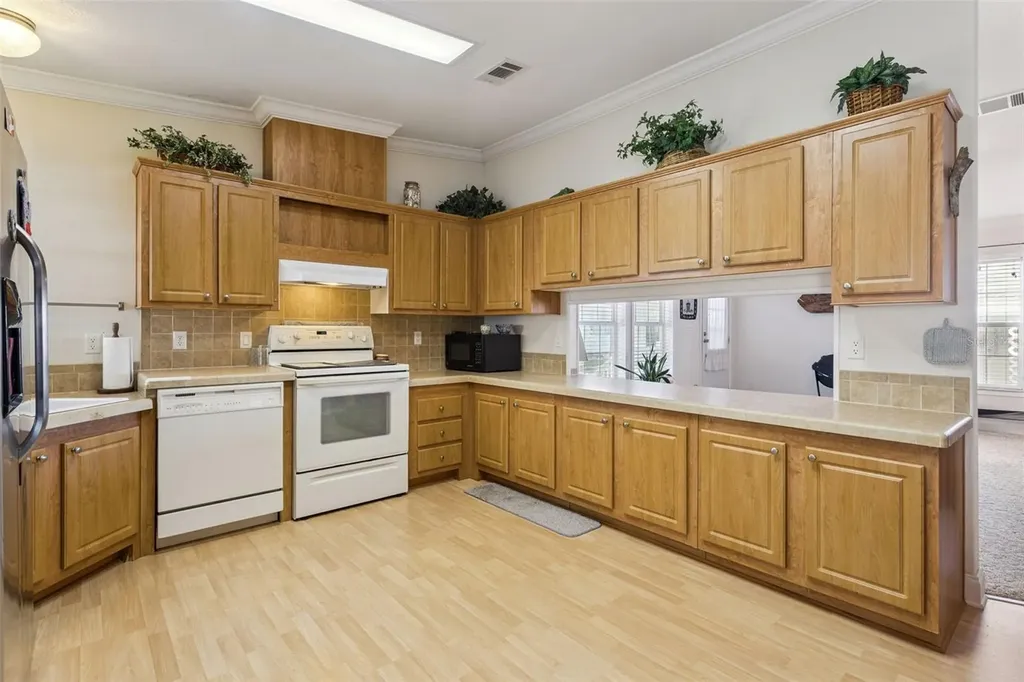 212 Palm Meadows Drive Eustis FL 32726