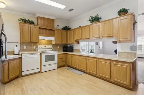 212 Palm Meadows Drive Eustis FL 32726