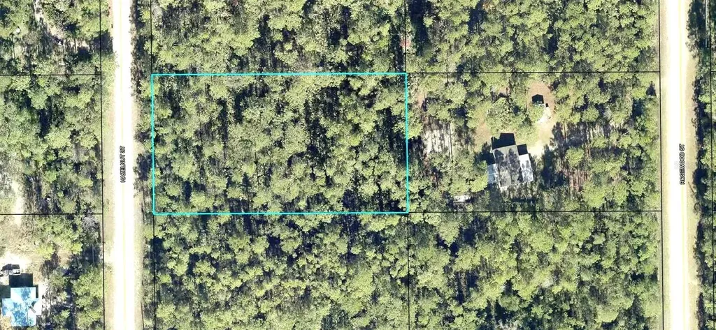 2185 Hazelnut Street Bunnell FL 32110