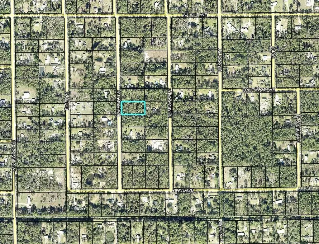 2185 Hazelnut Street Bunnell FL 32110