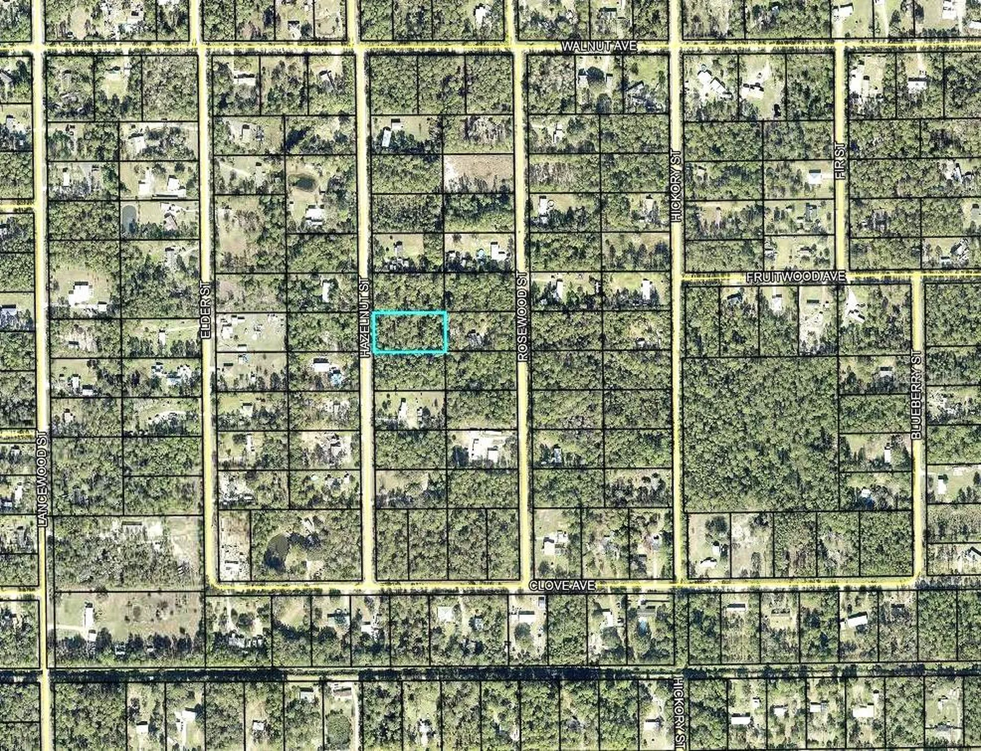 2185 Hazelnut Street Bunnell FL 32110