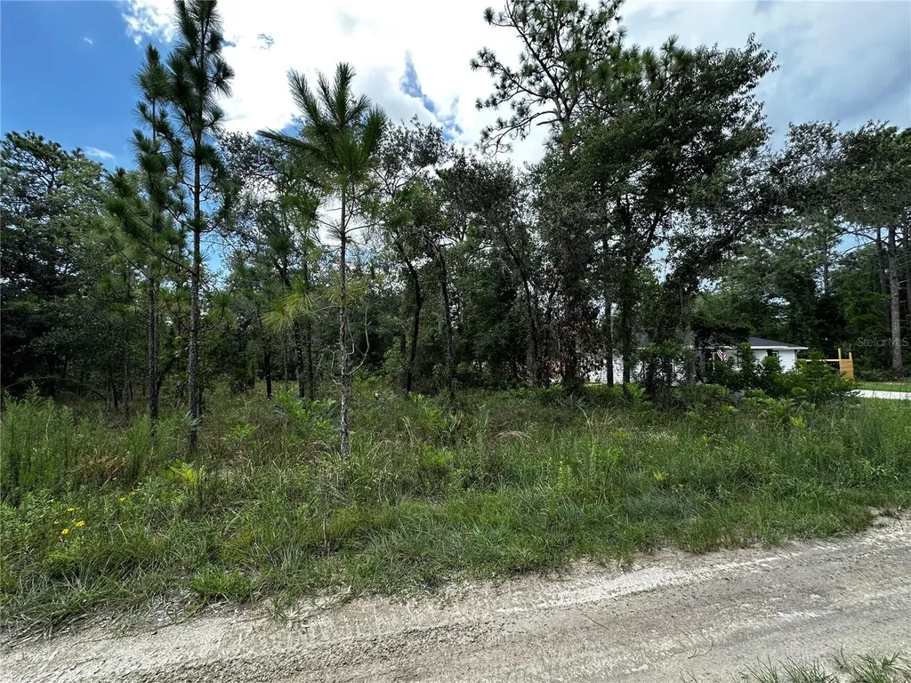 Tbd NE 15th Lane Williston FL 32696