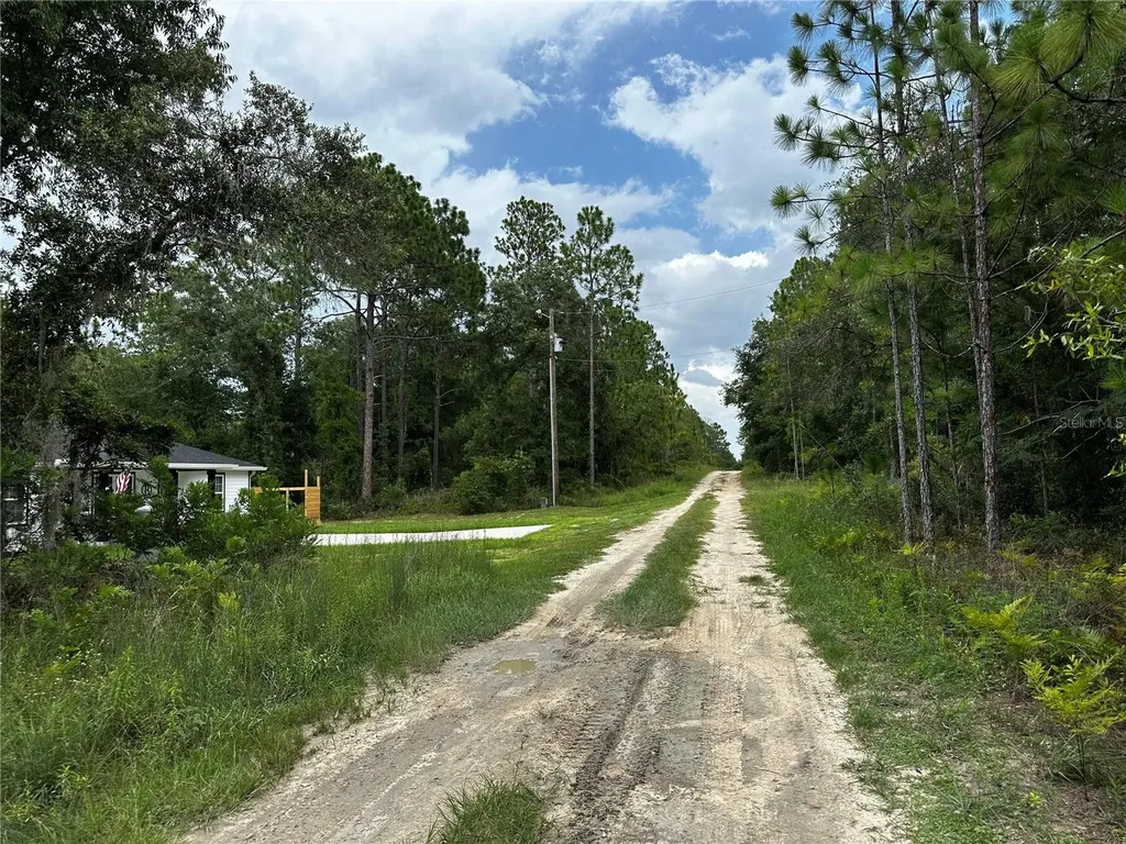Tbd NE 15th Lane Williston FL 32696