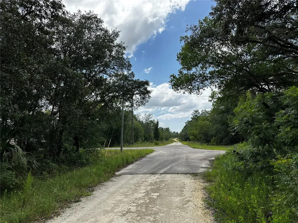 Tbd NE 15th Lane Williston FL 32696
