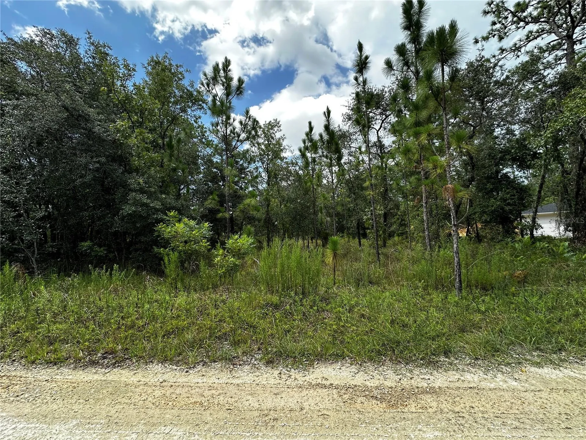 Tbd NE 15th Lane Williston FL 32696