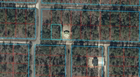 Tbd NE 15th Lane Williston FL 32696