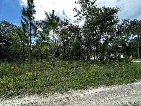 Tbd NE 15th Lane Williston FL 32696