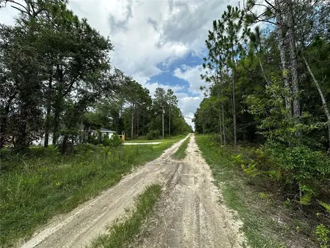Tbd NE 15th Lane Williston FL 32696