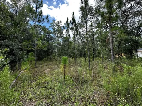 Tbd NE 15th Lane Williston FL 32696