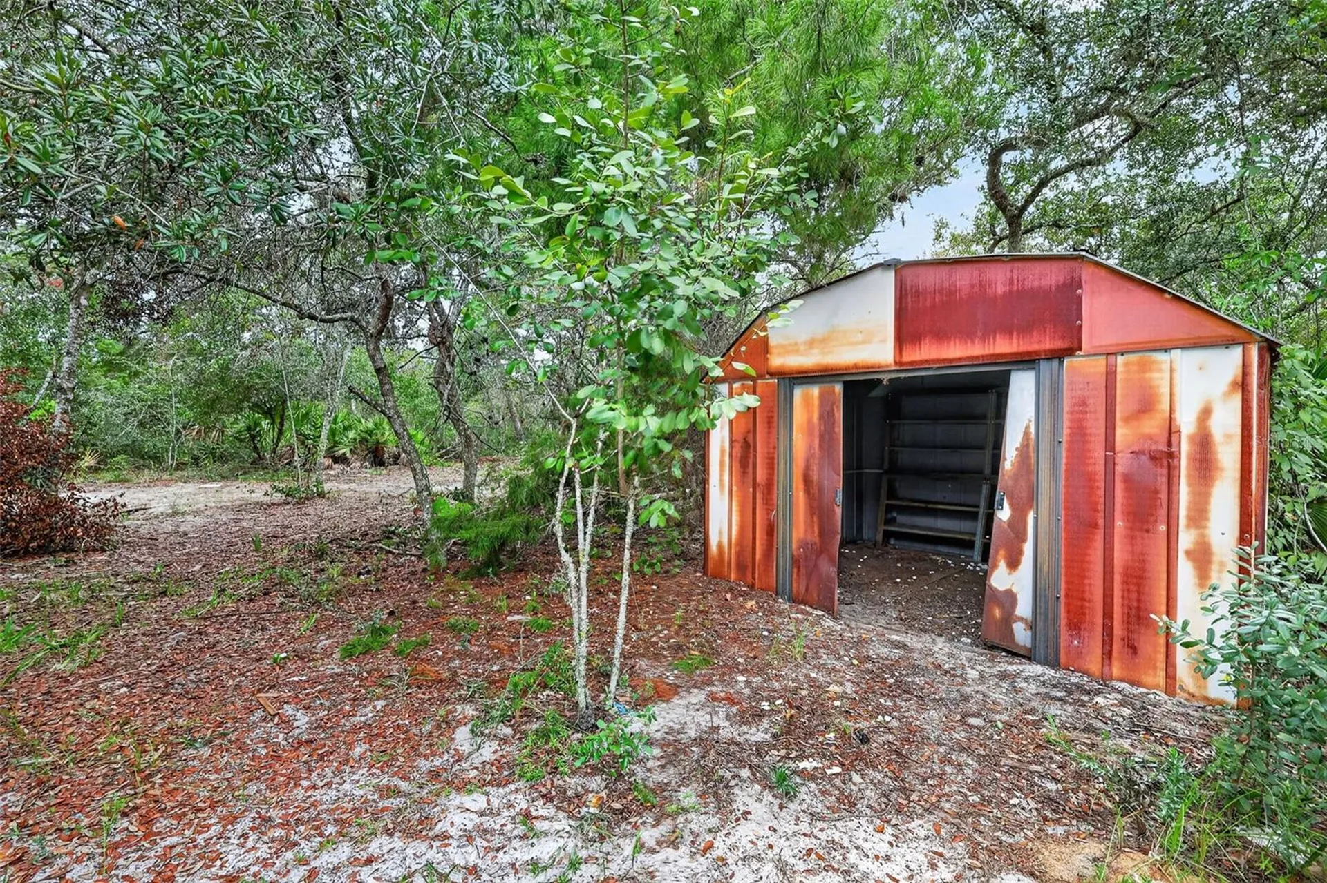 20241 Saltsdale Road Umatilla FL 32784