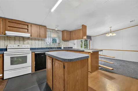 20241 Saltsdale Road Umatilla FL 32784