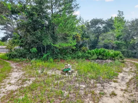20241 Saltsdale Road Umatilla FL 32784
