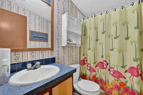 20241 Saltsdale Road Umatilla FL 32784