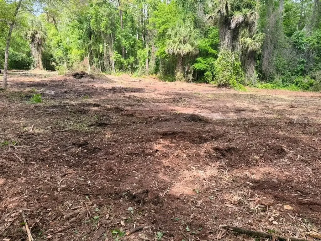 8401 Amelia Trail Kissimmee FL 34747