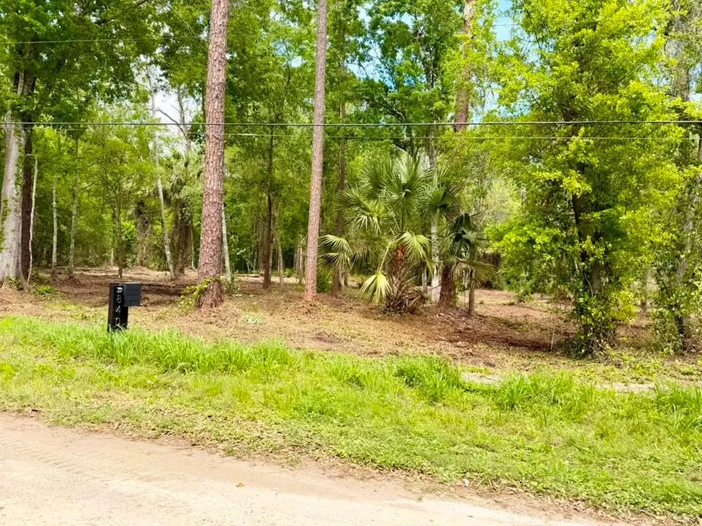8401 Amelia Trail Kissimmee FL 34747