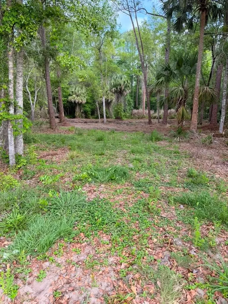 8401 Amelia Trail Kissimmee FL 34747