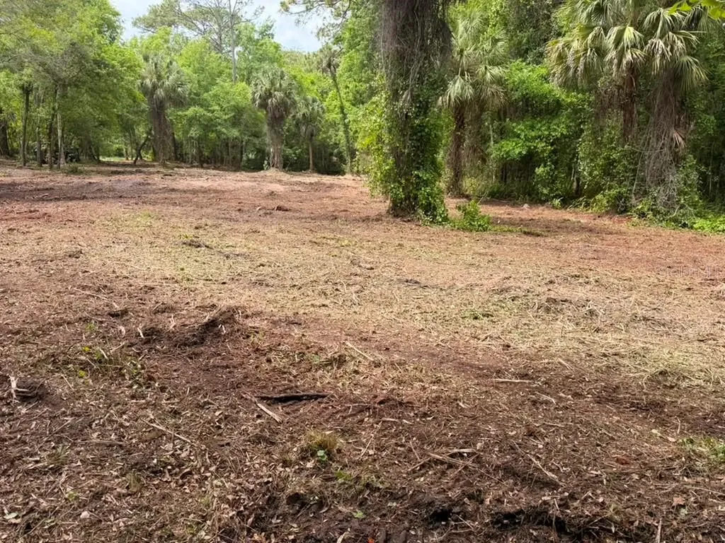 8401 Amelia Trail Kissimmee FL 34747