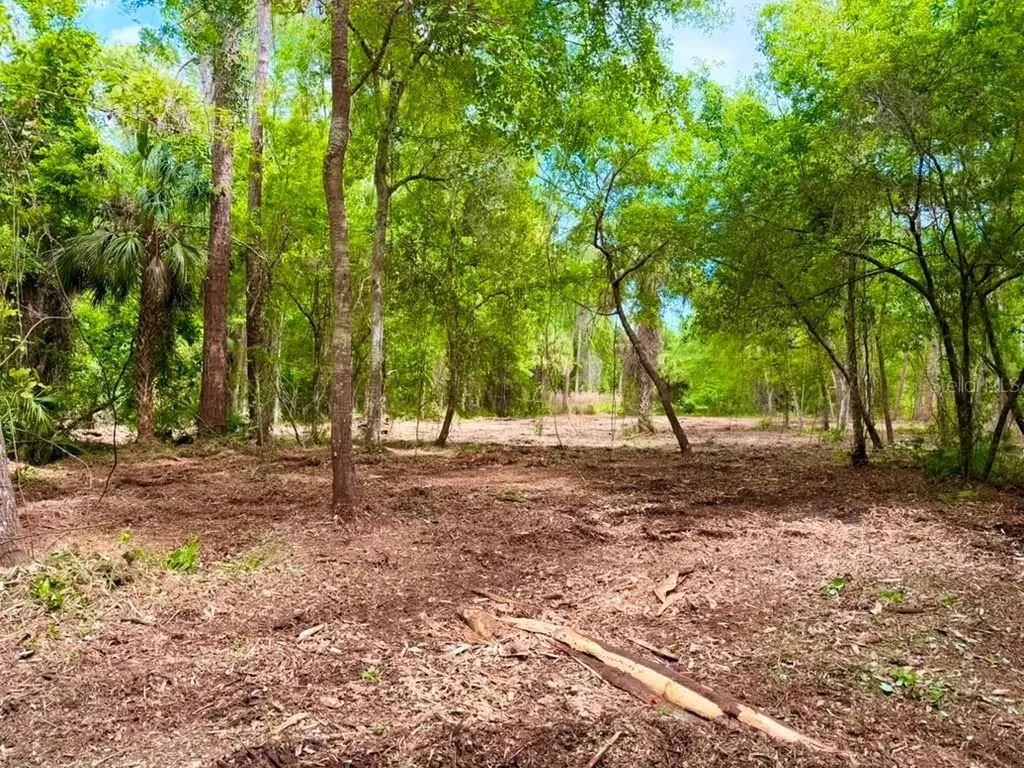 8401 Amelia Trail Kissimmee FL 34747