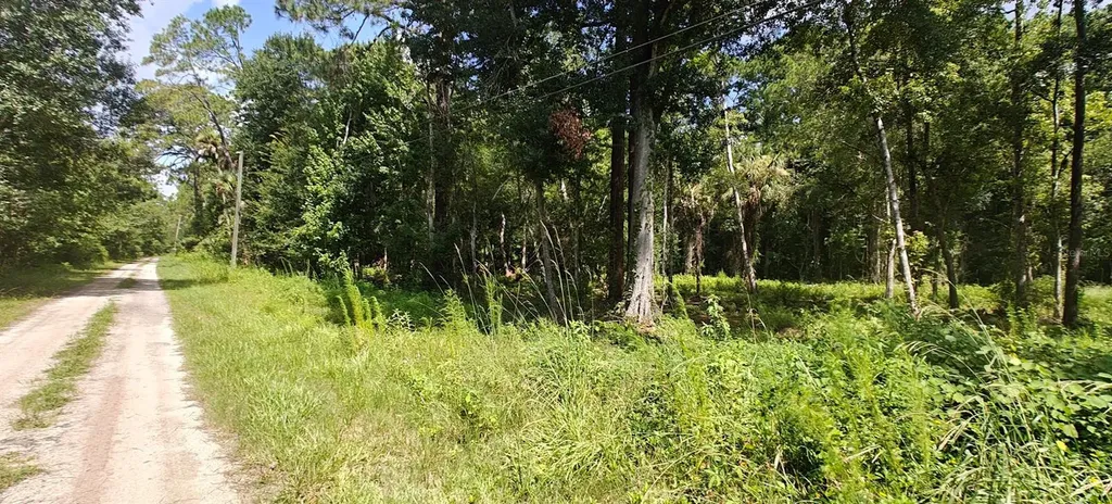 8401 Amelia Trail Kissimmee FL 34747