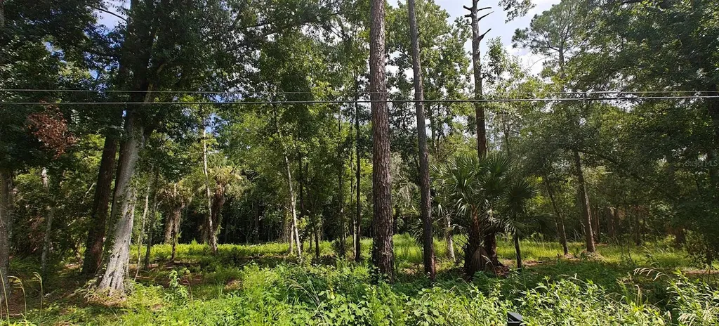 8401 Amelia Trail Kissimmee FL 34747