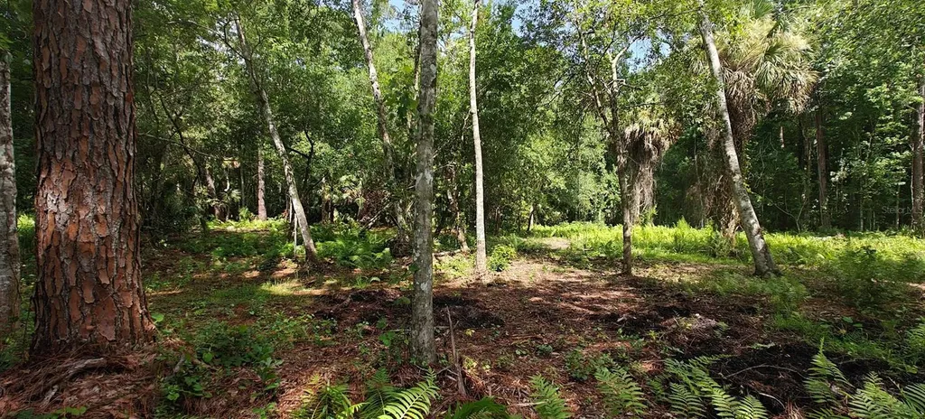8401 Amelia Trail Kissimmee FL 34747