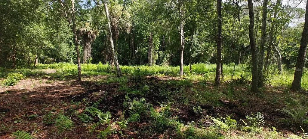 8401 Amelia Trail Kissimmee FL 34747