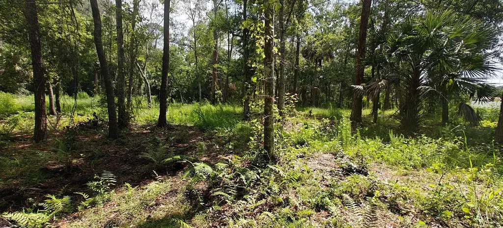 8401 Amelia Trail Kissimmee FL 34747