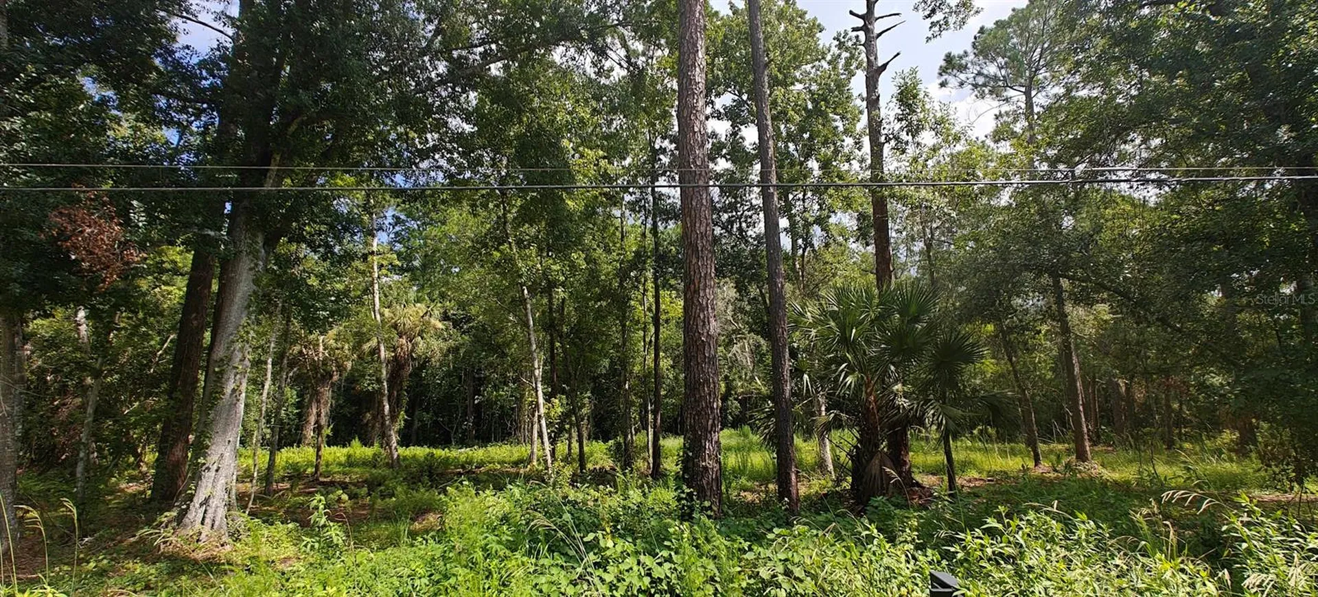 8401 Amelia Trail Kissimmee FL 34747