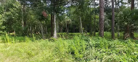 8401 Amelia Trail Kissimmee FL 34747