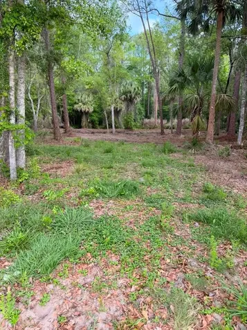 8401 Amelia Trail Kissimmee FL 34747