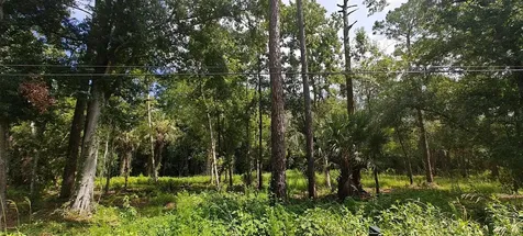 8401 Amelia Trail Kissimmee FL 34747