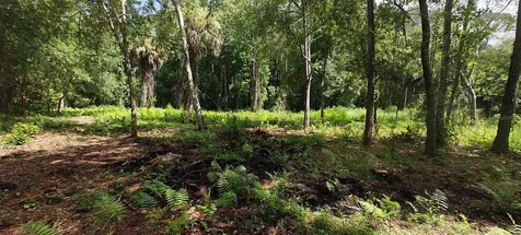 8401 Amelia Trail Kissimmee FL 34747