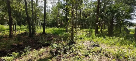 8401 Amelia Trail Kissimmee FL 34747