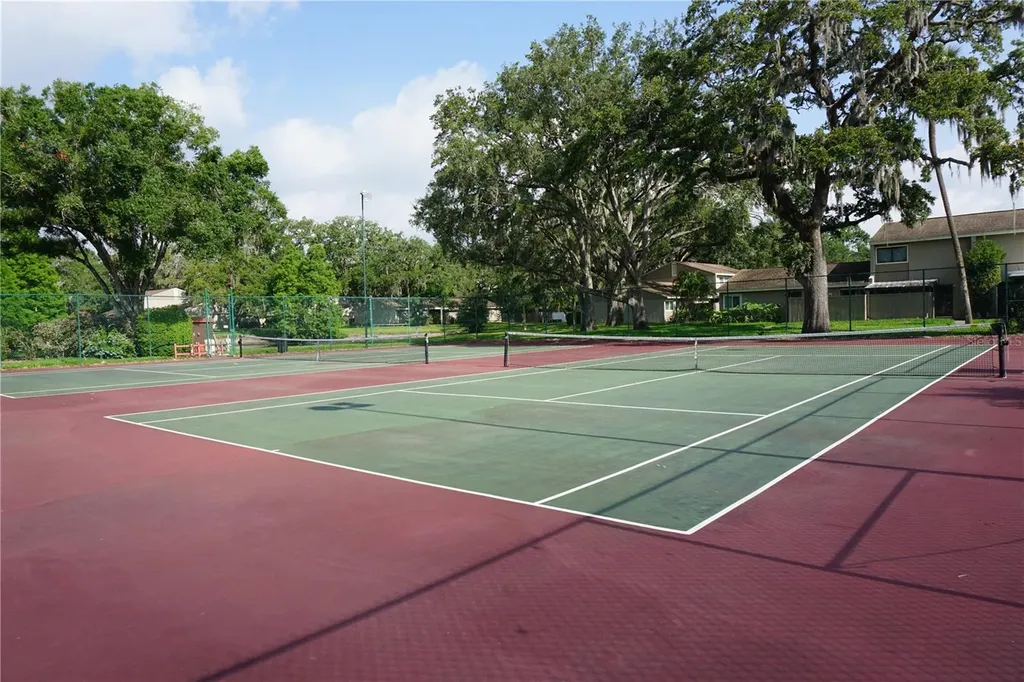 7807 Amberlea Court Tampa FL 33637