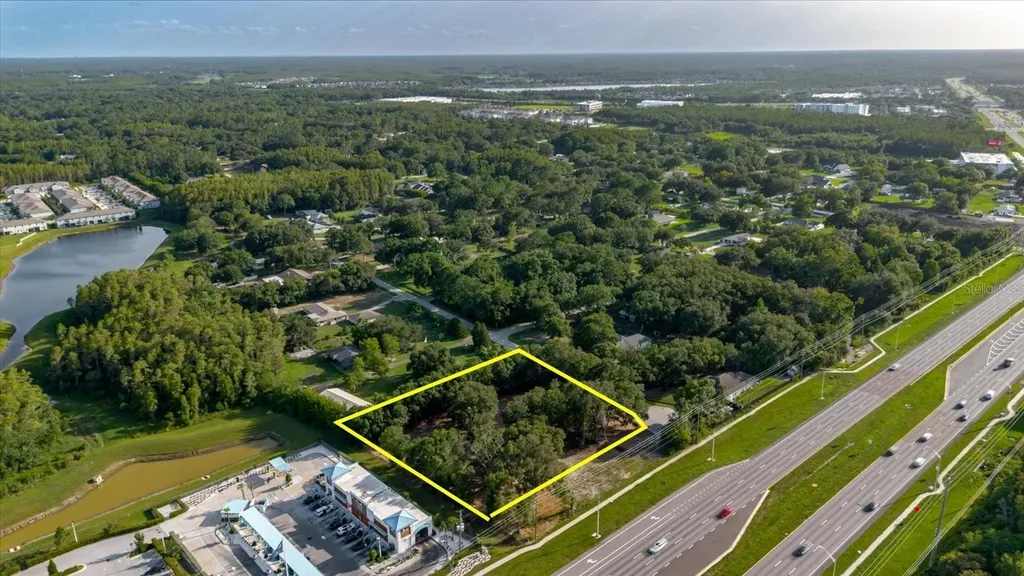 17380 Riverstone Drive Lutz FL 33558