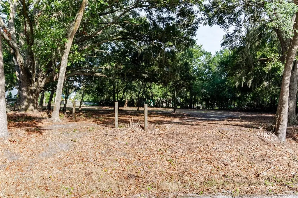 17380 Riverstone Drive Lutz FL 33558
