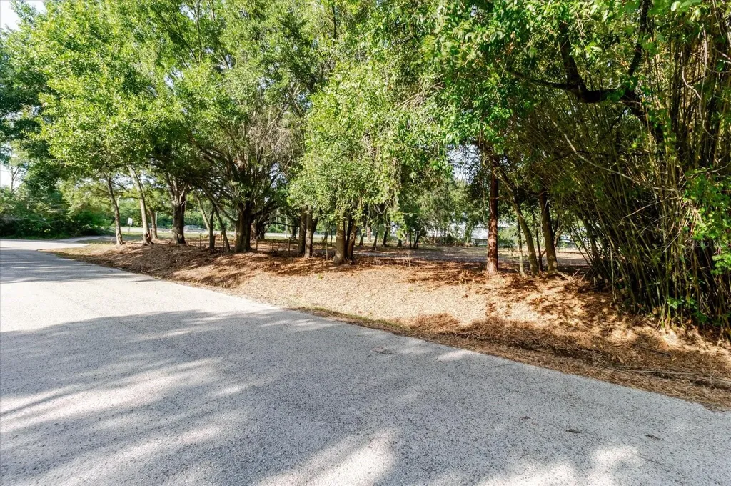 17380 Riverstone Drive Lutz FL 33558